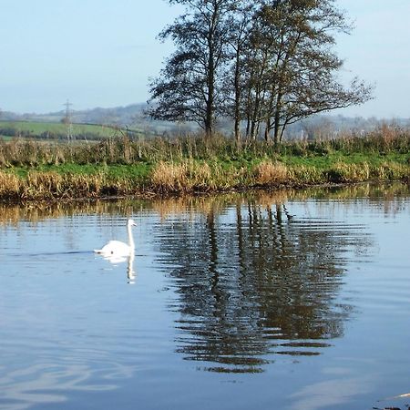 The Bower Inn Bridgwater Eksteriør billede Swans on the River Wye